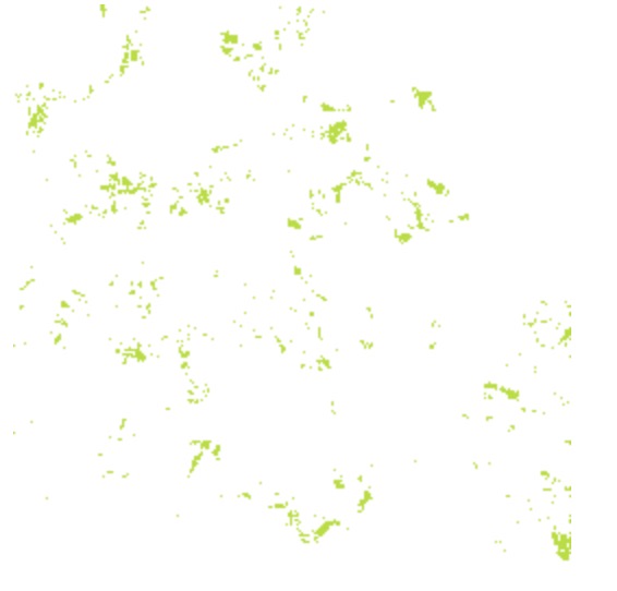 An image