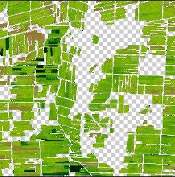 an image